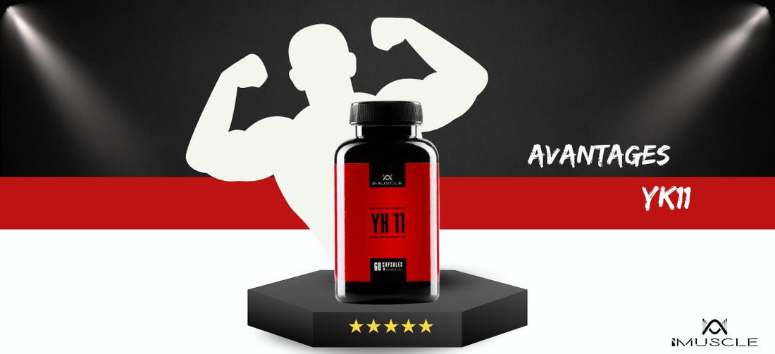 Avantages de YK11