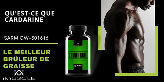 Qu'est-ce que Cardarine 